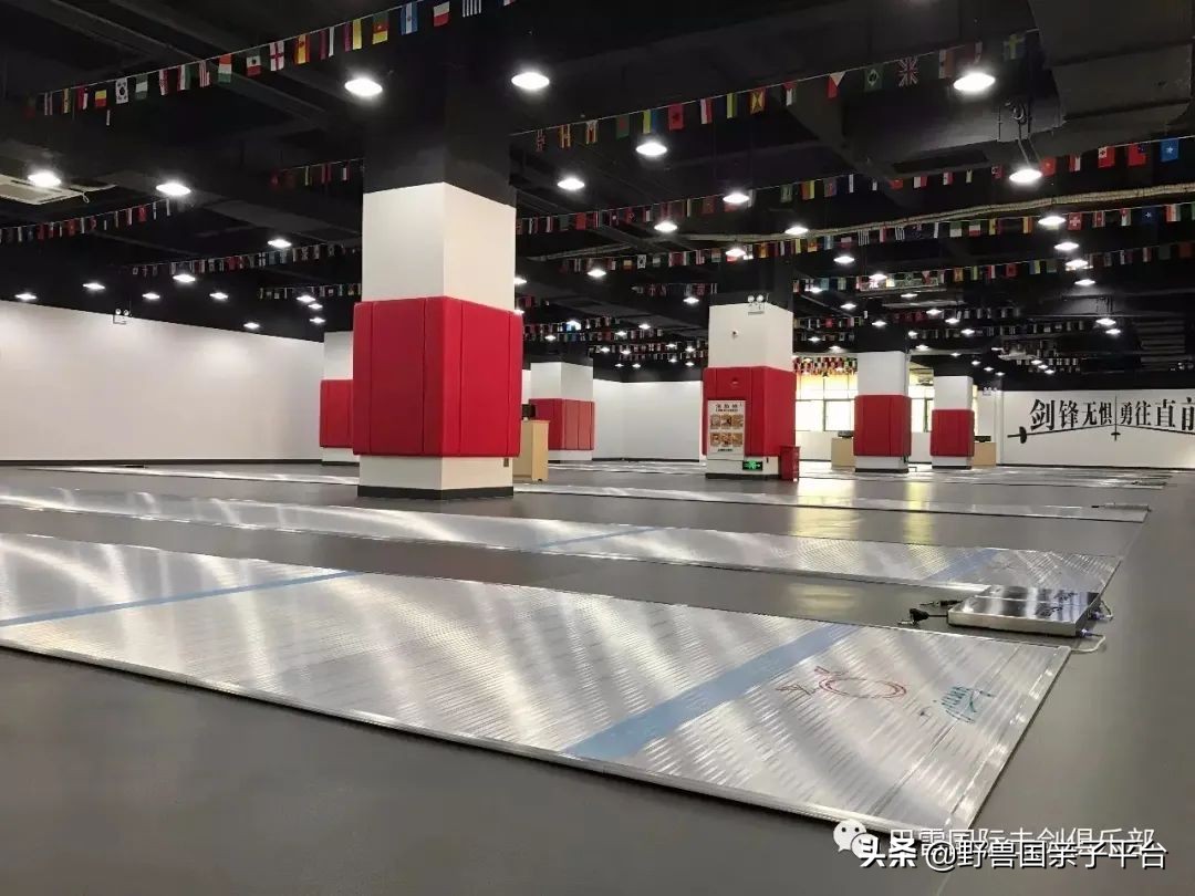 东莞儿童篮球培训机构哪个好,东莞儿童健身球哪家好