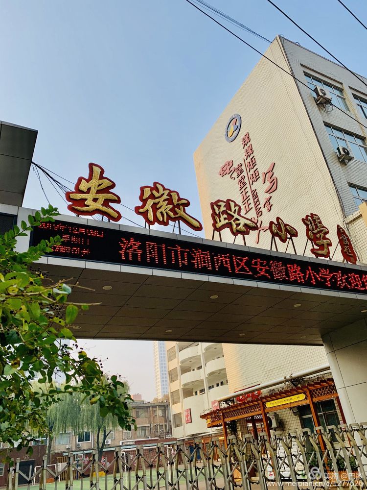 涧西牡丹广场老照片,洛阳牡丹手机拍照