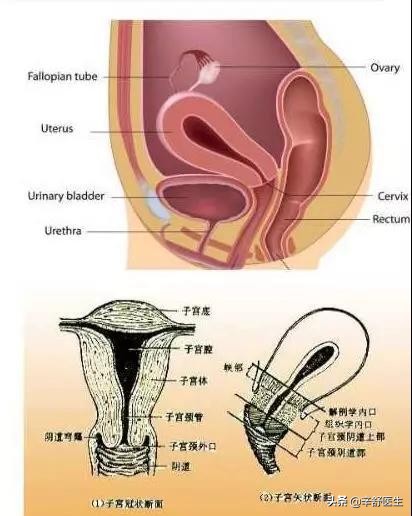 我的门诊故事2019,我的门诊故事大图
