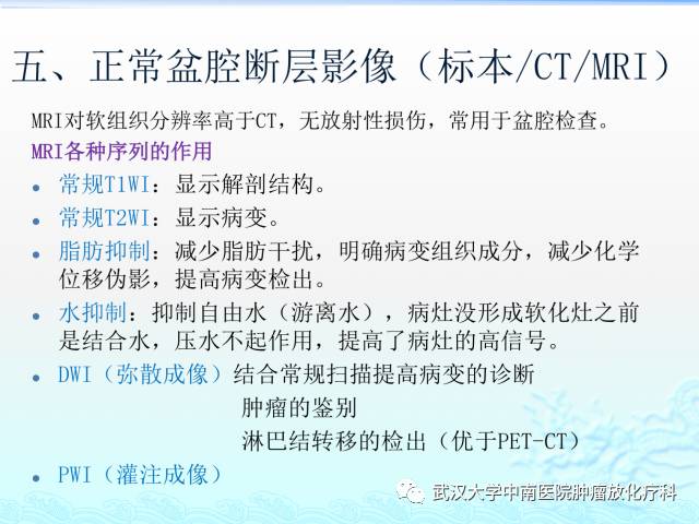 女性盆腔解剖与断层影像