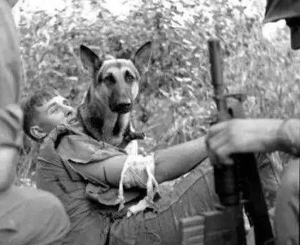 最人道的*品毒**:拯救了无数人的生命美国大兵临终前最需要它