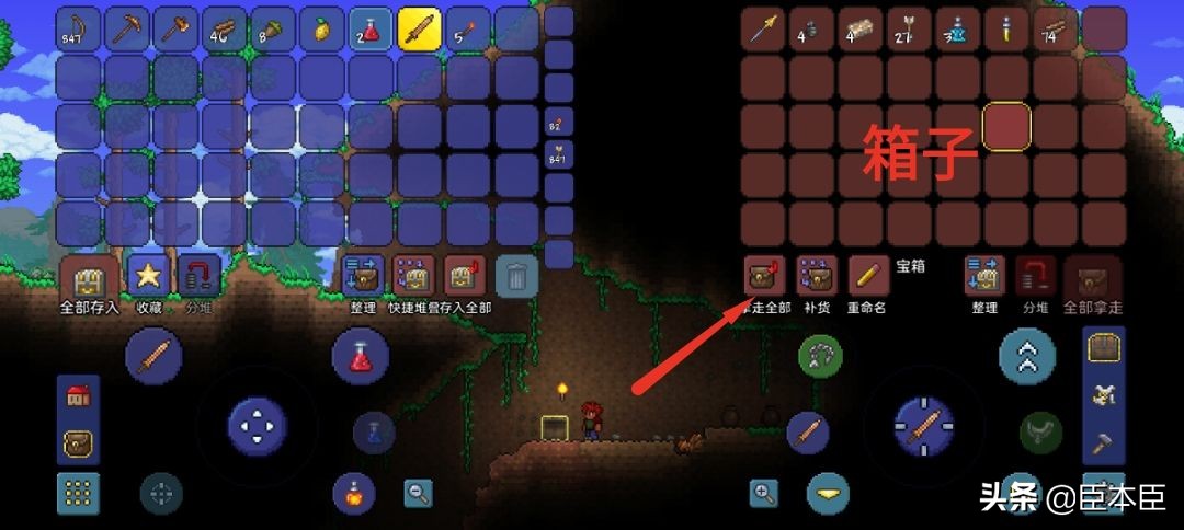 泰拉瑞亚大师通关全部流程,泰拉瑞亚大师通关全过程