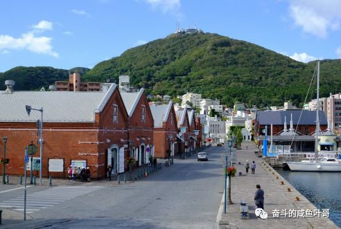 北海道函馆推荐,北海道的夏天