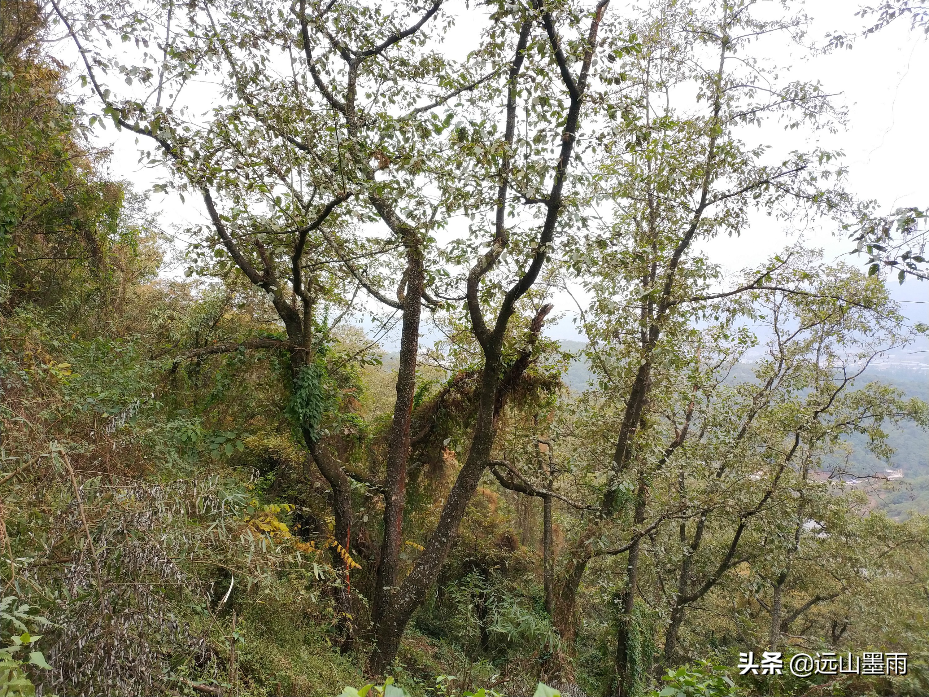 西山旅游公路穿越攻略,昆明西山爬山攻略最佳线路