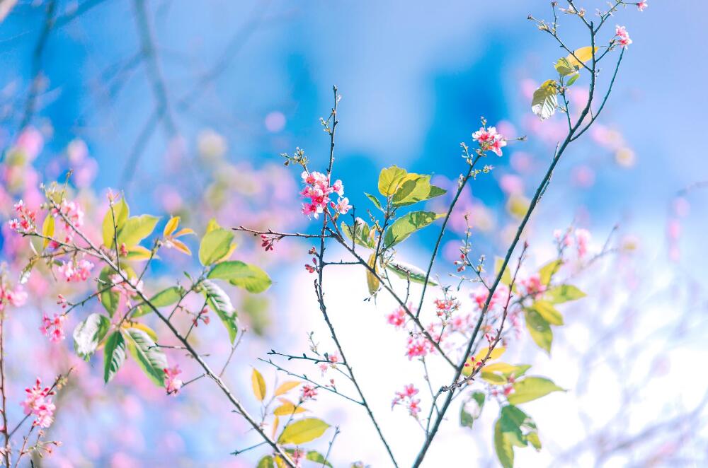 学习比其他星座优秀的几大星座,十二星座谁是学习最聪明的星座