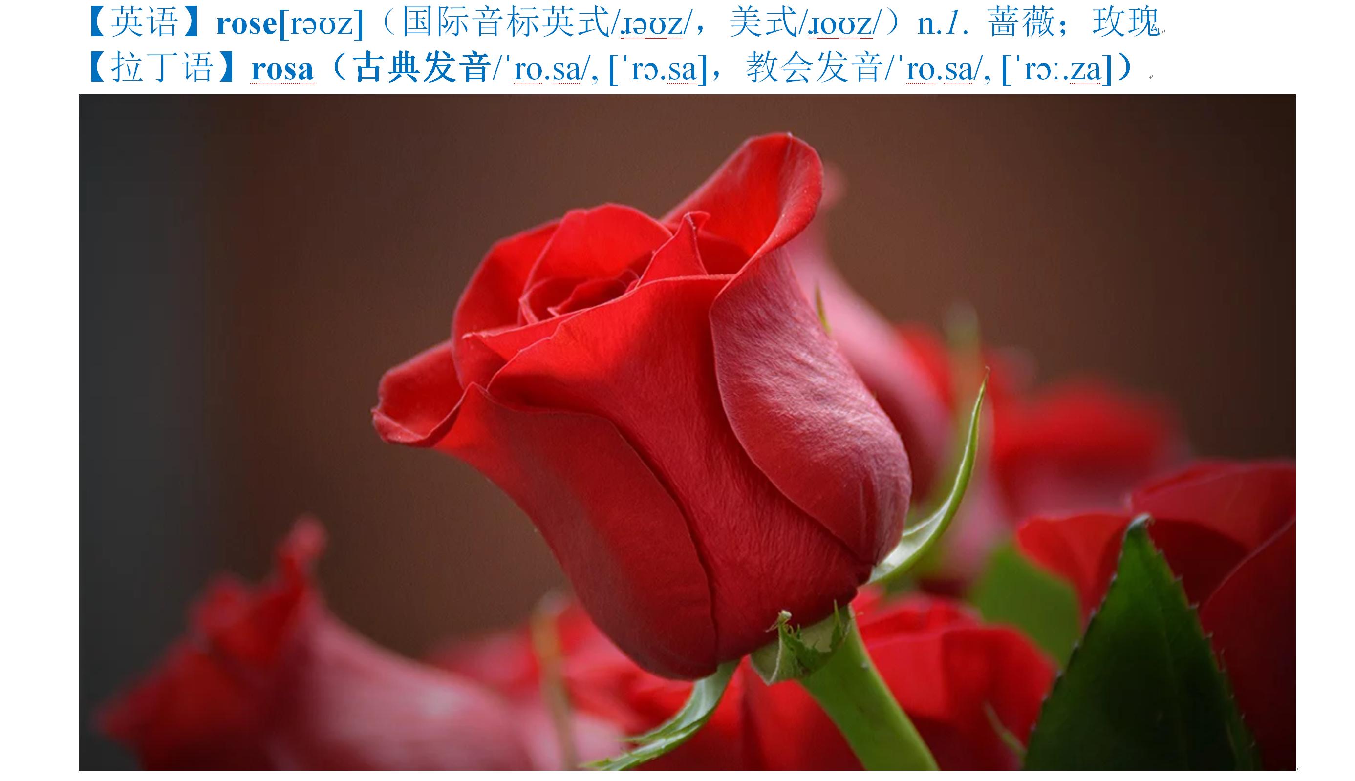 如何快速掌握汉语拼音正词法,汉语拼音快速掌握方法