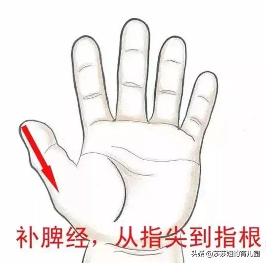 小孩胃强脾弱积食便秘怎么调理,小儿胃强脾弱越来越瘦怎么调理