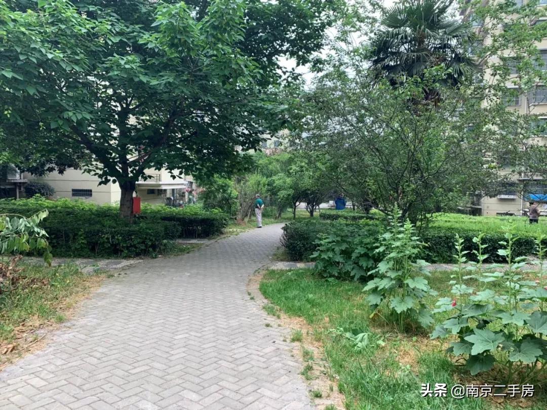 周边小区房价暴涨,垃圾遍地的小区