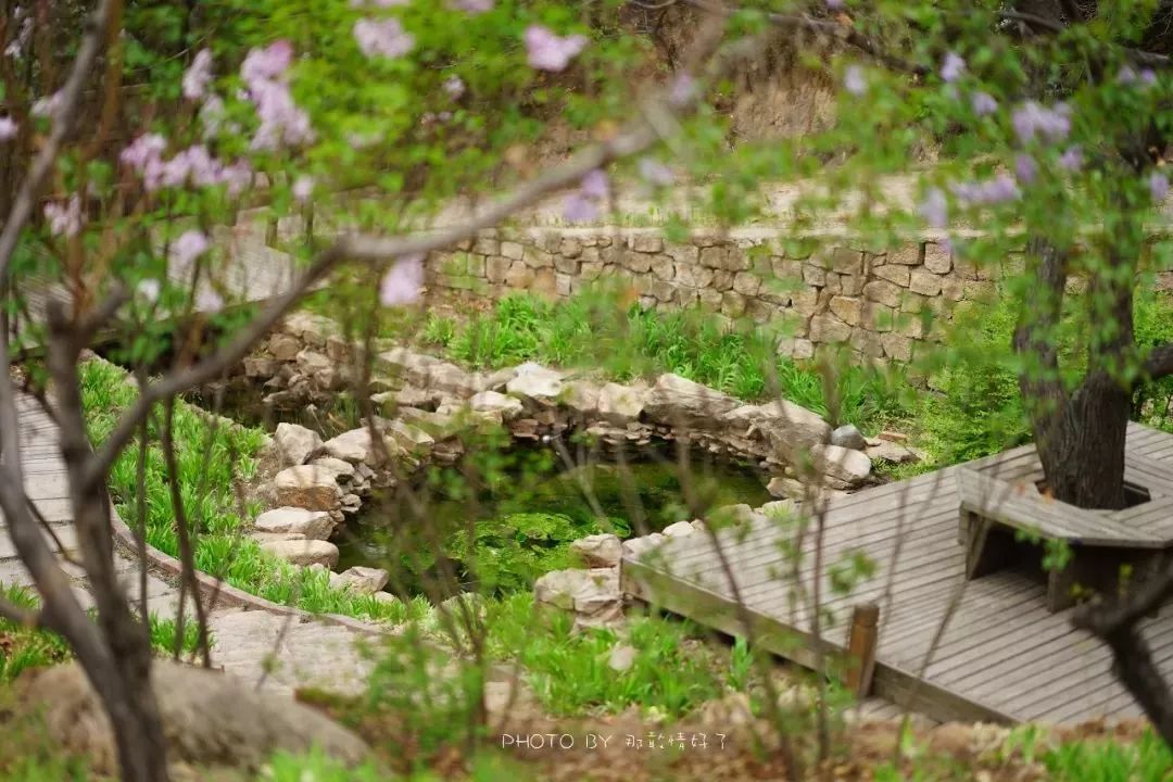 北京京郊童话树屋,台湾神奇的树屋