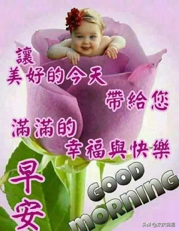 早晨问候语早上好祝福语,最新的早上好问候祝福语图