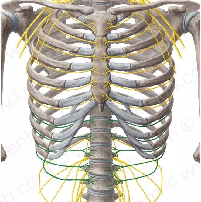 早期肺癌术后第五年又出现结节,肺癌术后20多天伤口不愈合流液体