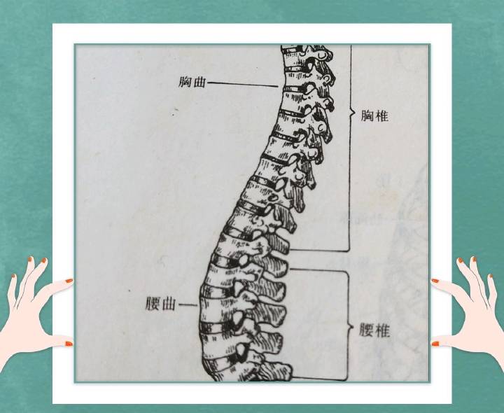 关节磨损引起的关节疼怎么办,运动虽好但也要保护好关节