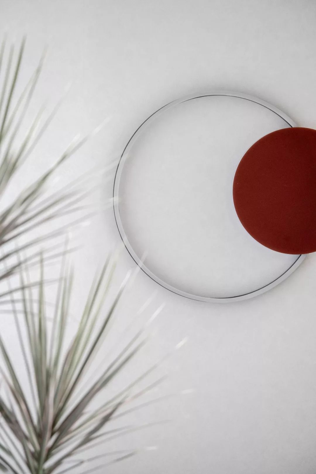 万科x大倉|对话自然美学，预见未来新生活