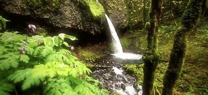 你的车里真好闻！复刻千年国宝的它，随行随香，极雅