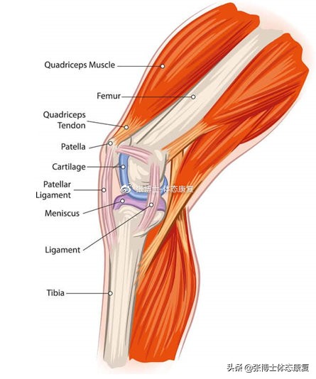 运动膝关节疼痛自我治疗方法,髌骨疼痛综合征康复训练