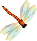 济宁任城湿地公园荷花,济宁莲花湿地