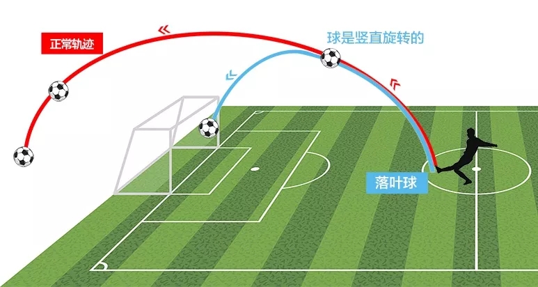 C罗绝技落叶球、电梯球如何炼成?谈落叶球、电梯球、香蕉球区别