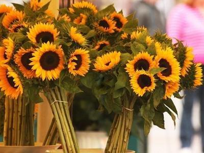 对翻脸无情的人要留一手,翻脸无情的人不值得计较