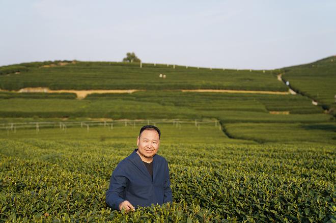 2000份尝鲜款西湖龙井淘宝上线，茶客们的狂欢节来了！