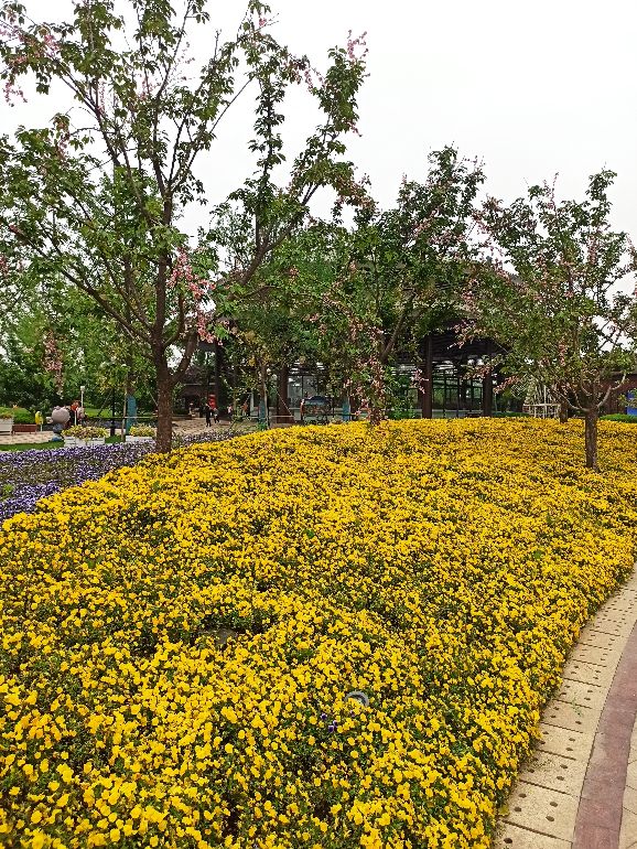 恒大文化旅游城亲子游,恒大文化旅游推荐攻略