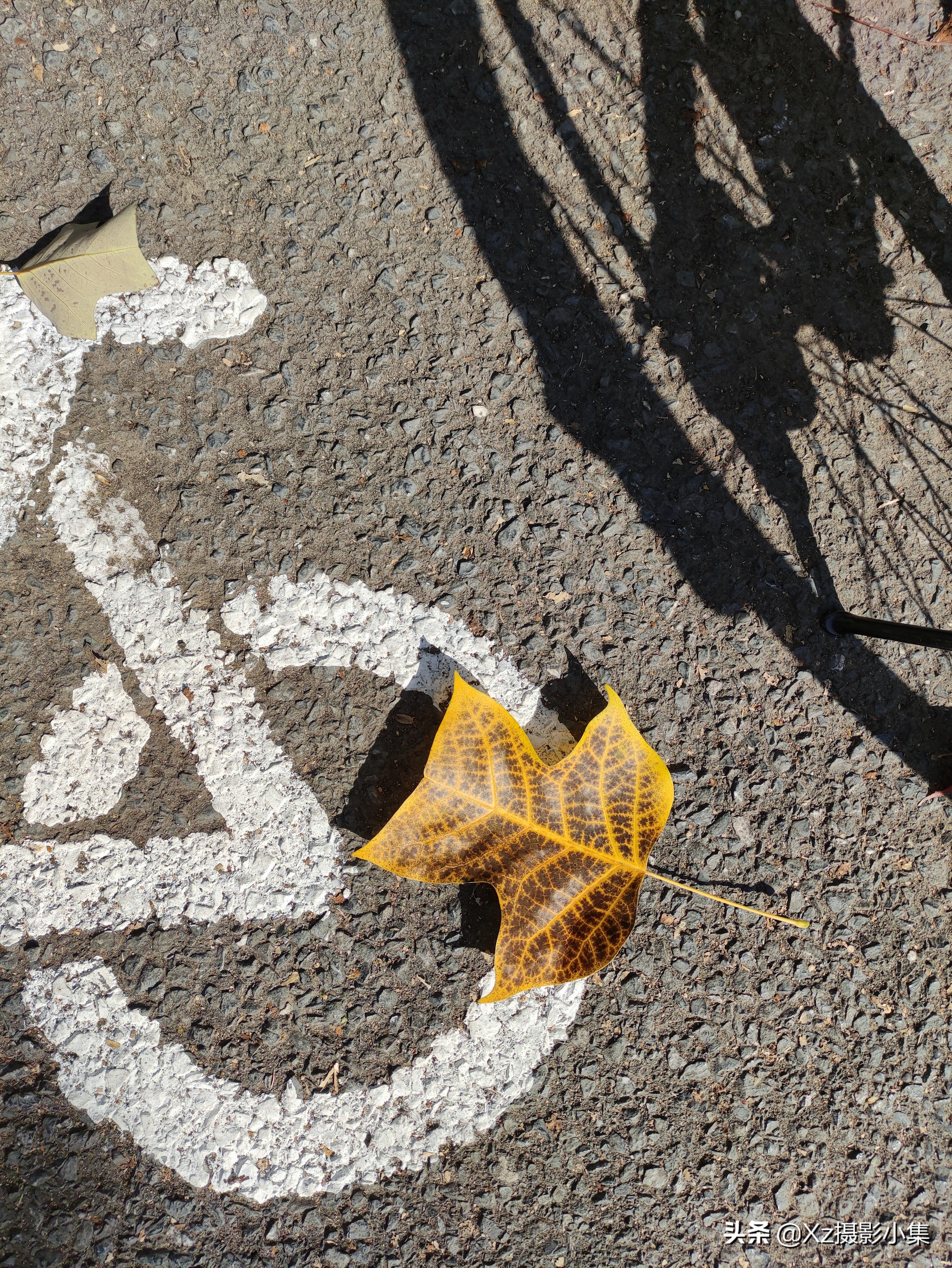 日常风景照片修图app,风景照片怎么用手机修图