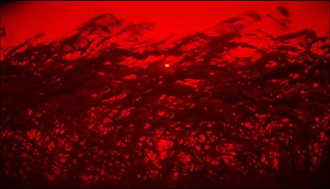 莫言饥荒描写,莫言山东高密东北乡