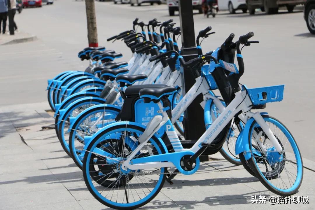 记忆中的莘县,莘县景色