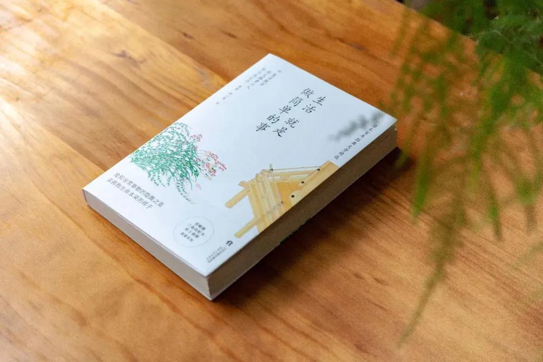 丁真的梦想是小马跑第一，为什么越简单的人设越圈粉？