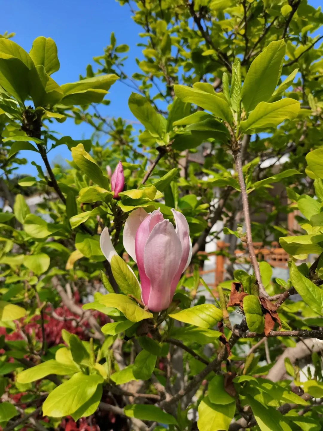 回归大自然享受田园,回归大自然享受大自然的馈赠