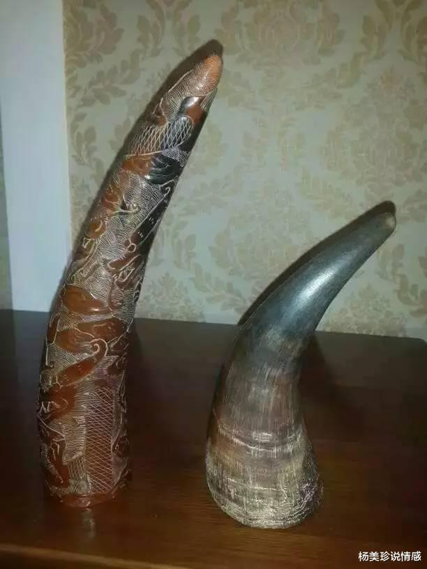 最残忍的十大文玩,带血的文玩有什么忌讳