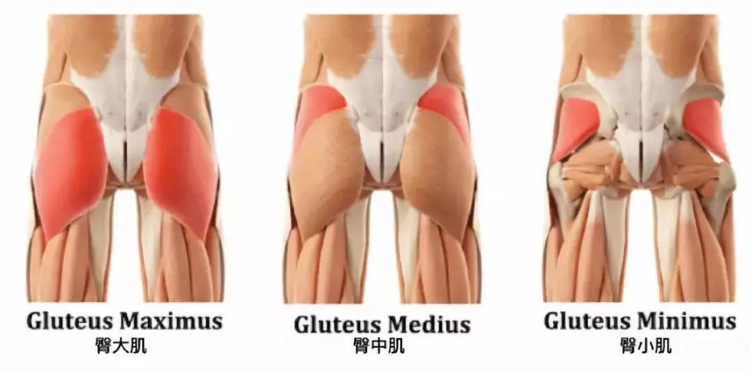 怎么拉长臀线变成大长腿,4个动作拯救你的扁塌臀