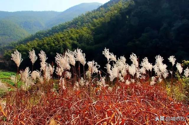 江苏最值得去的十个旅游地方,一到十二月江苏省小众旅游