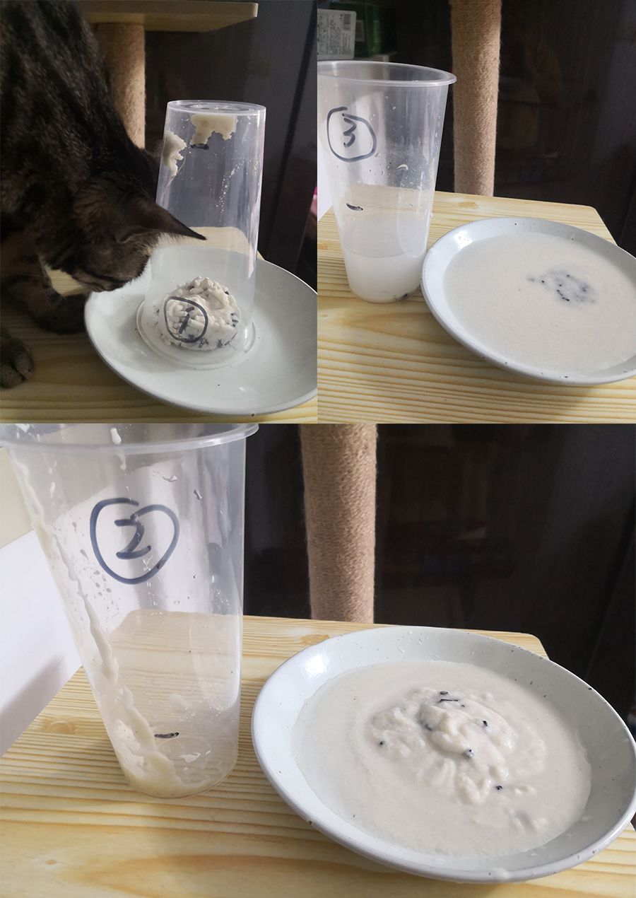 什么牌子的豆腐猫砂除臭好,强力除臭猫砂测评