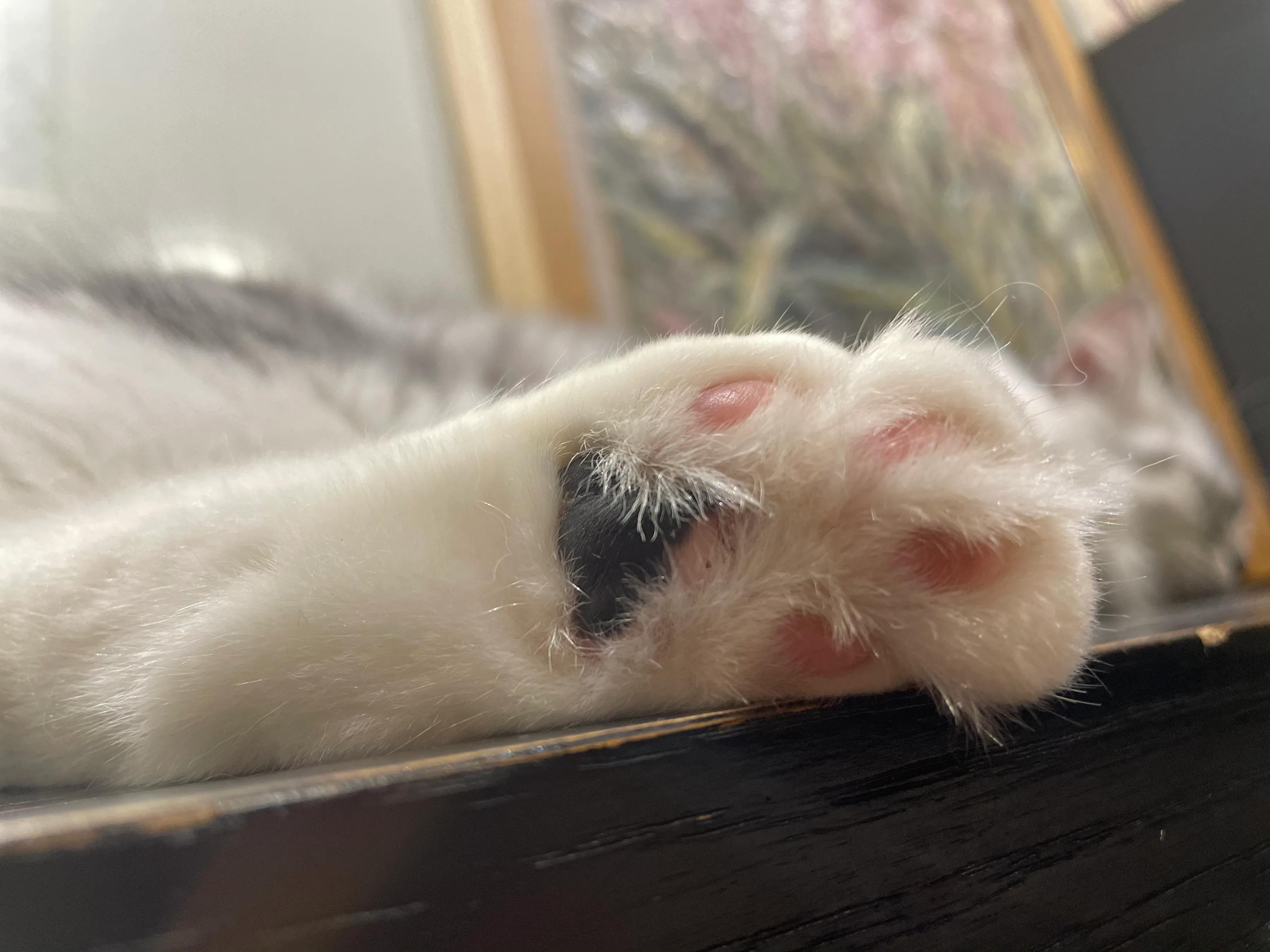 明天我的小屁屁要去深圳了