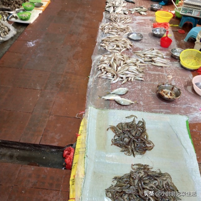 一到菜市场就不知道买什么菜好,逛菜市场有哪些菜值得买