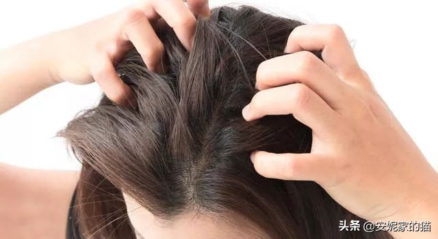 头皮长痘痘解决方法视频,头发油腻头皮长痘痘是什么原因