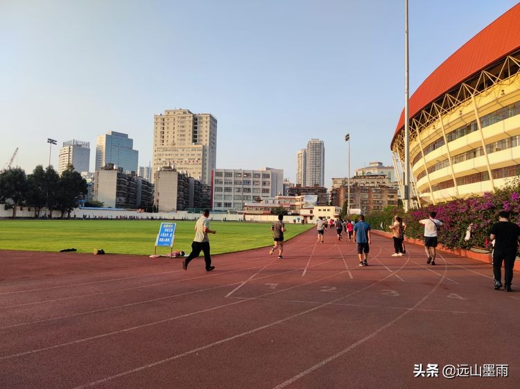 绿树成荫林荫小道,绿树成荫的小路视频