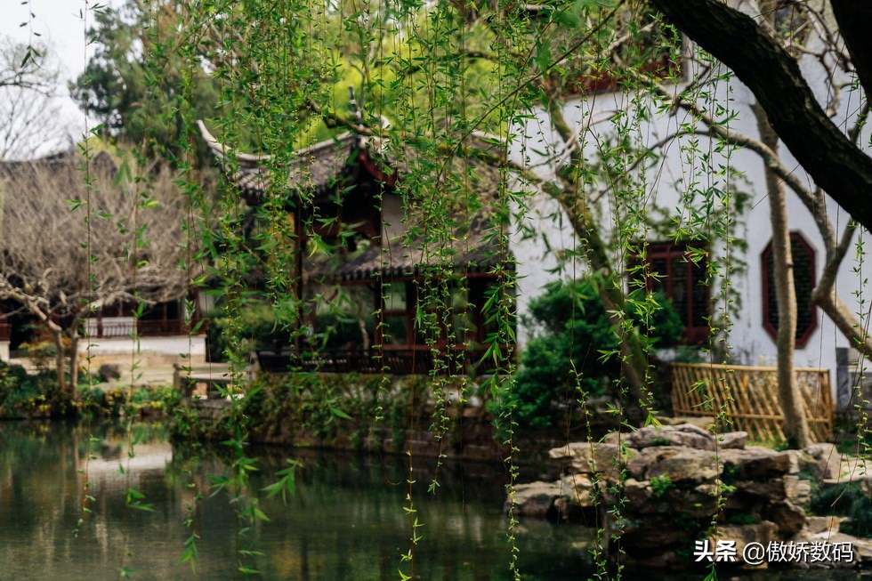 拙政园最让人欣赏的地方,拙政园十大特色