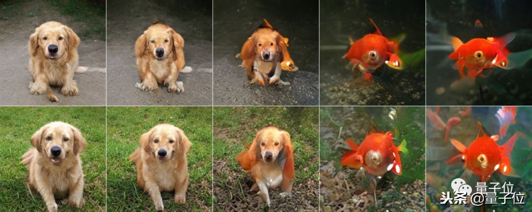 史上最强GAN：训练费10万起，现在免费体验，画风鬼畜又逼真