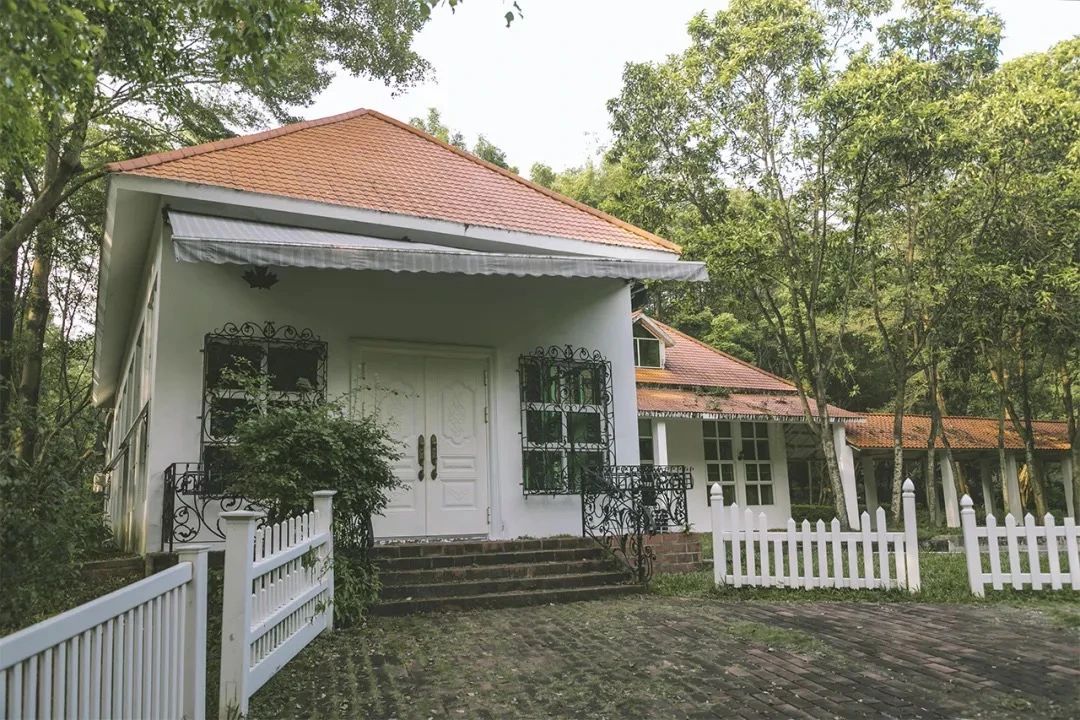 深圳周末带孩子免费游玩好去处,2021深圳免费适合遛娃玩地方排名