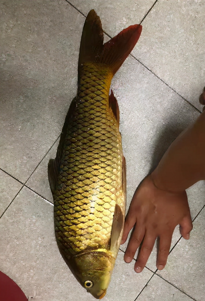 享受生活，游钓山水，光威与我同行