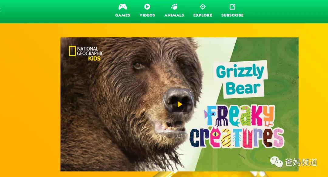 十大有趣的宝藏网站,十大实用宝藏网站