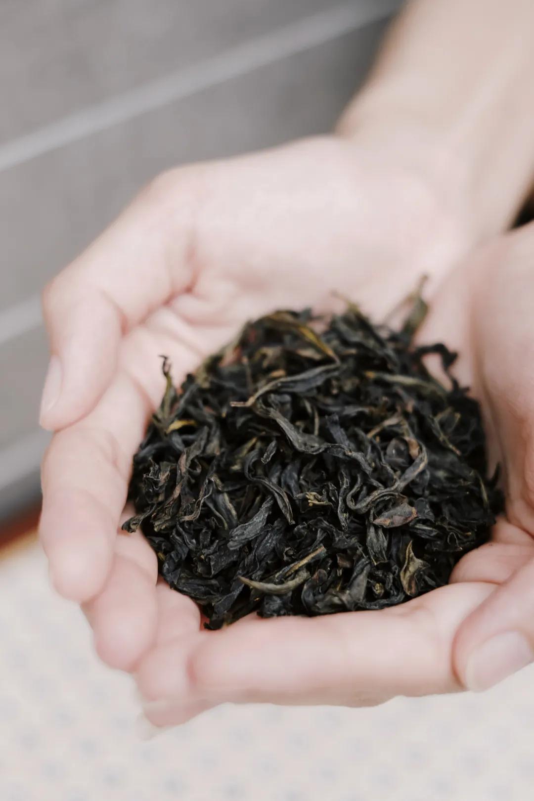 茶理宜世港式奶茶,茶理宜世奶茶推荐