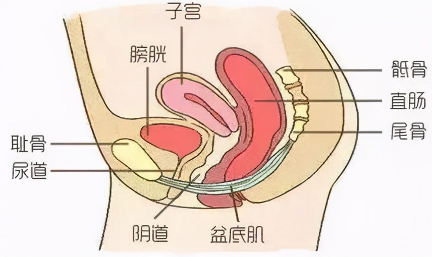 长沙一奶奶感觉*体下**掉出个“肉球”，医生：这不是肉球，是子宫