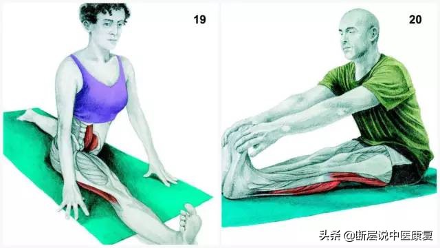 肌肉拉伸组图,最全的16种肌肉拉伸动作