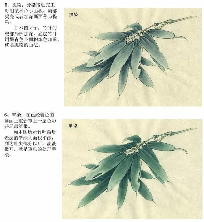 中国花鸟画国画教学,宋代工笔花鸟画表现技法