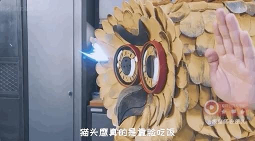 猫头鹰怎么摸眼睛,猫头鹰怎样抓蛇的视频
