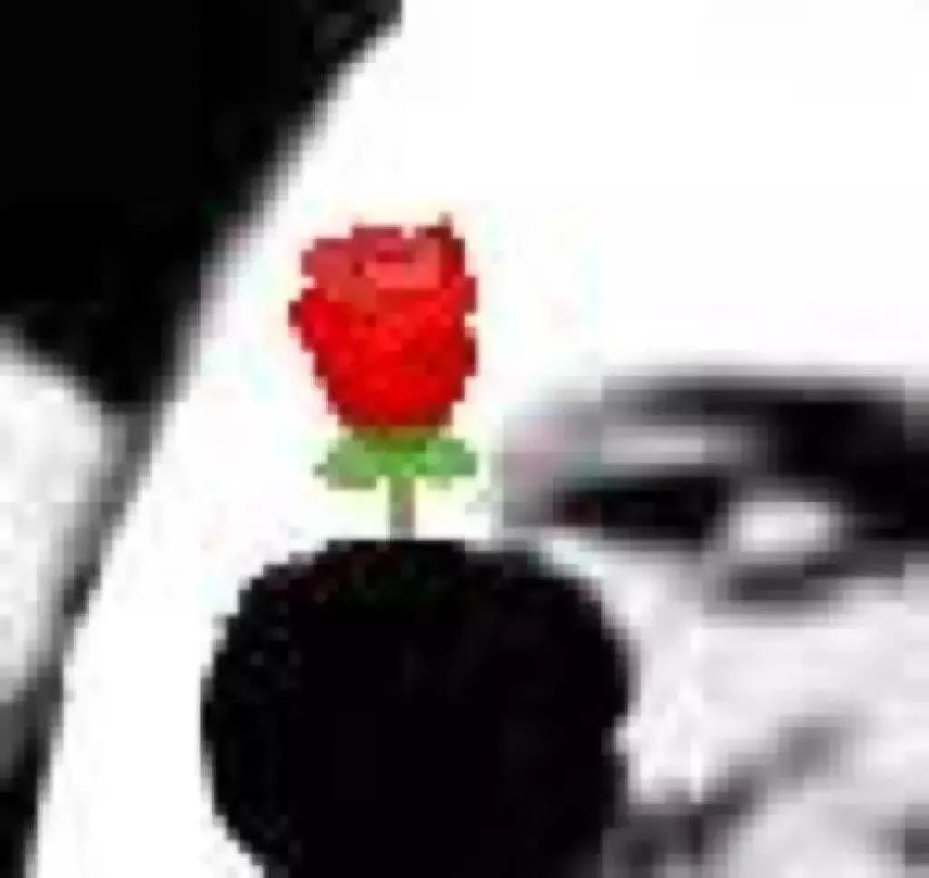 蹦迪摇头表情动图,斗图表情包聊天必备表情包