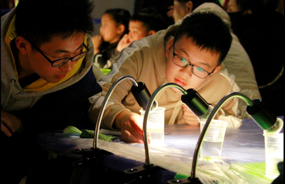 重庆科普馆建设,重庆市科技馆新馆开放时间