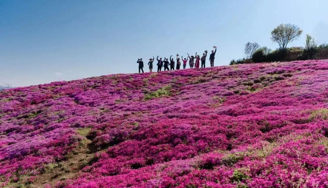 彭山景区活动购票,常德彭山景区游玩攻略图